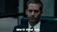 We'll Find Em