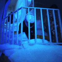 #nico GIF by ARtestpage