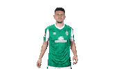 Bundesliga Verteidigung Sticker by SV Werder Bremen