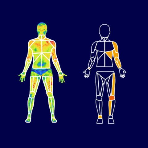 thermohuman thermal thermo termografia thermography GIF