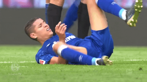 Football Soccer GIF by FC Schalke 04
