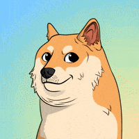 Shiba Inu Dog GIF by Doge Pound