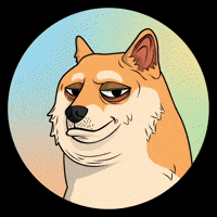 Shiba Inu Judging You GIF by Doge Pound