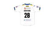 The Wire Sticker by Warrington Wolves