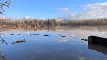 Debris Floats Down River After Flooding Hits British Columbia's Langley Township