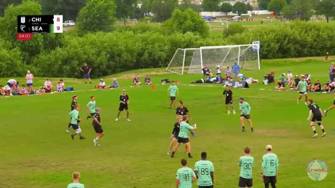 flikulti ultimate frisbee flik GIF
