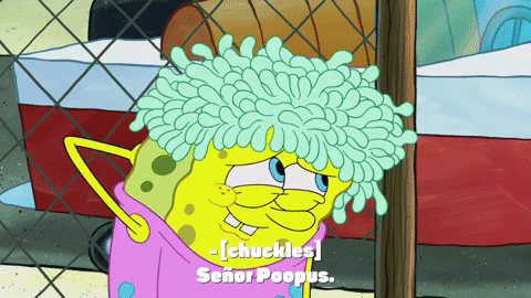 season 9 sanctuary GIF by SpongeBob SquarePants