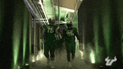 College Football GIF by USF Athletics