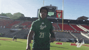 College Football GIF by USF Athletics