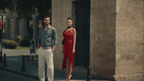 Bereketli Topraklar GIF by Show TV