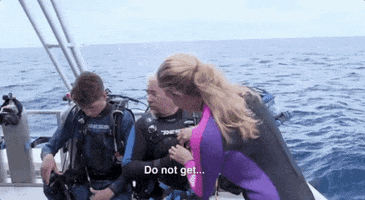 guy fieri mom GIF by Shark Week