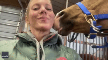 Stable Relationship: Horse Plays With Owner's Ear