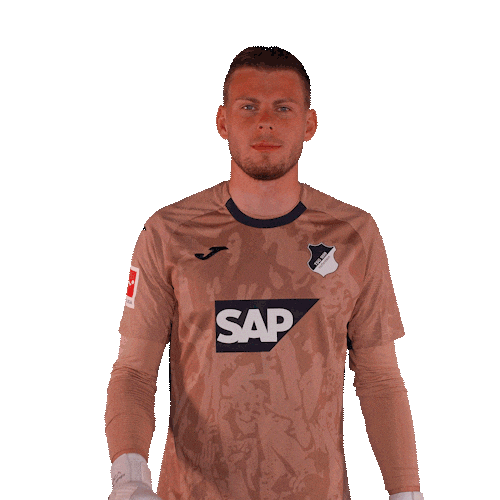 Sport Bundesliga Sticker by TSG Hoffenheim