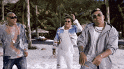 Gdz GIF by Gente De Zona