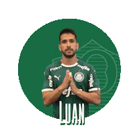 soccer se prepara Sticker by SE Palmeiras