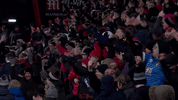 Football Soccer GIF by AFC Bournemouth