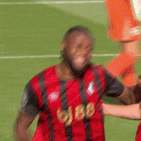 Happy Premier League GIF by AFC Bournemouth