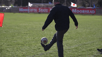 Msum Soccer GIF by MSUM Dragons