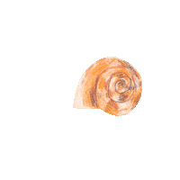 Illustration Hello Sticker by Louise Gouet