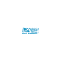 Iiso Sticker by BX Rink