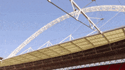 london football GIF by Tottenham Hotspur
