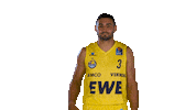 Ewe Baskets Sport Sticker by EWE Baskets Oldenburg