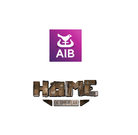 Hoty Home Of The Year Sticker by AIB
