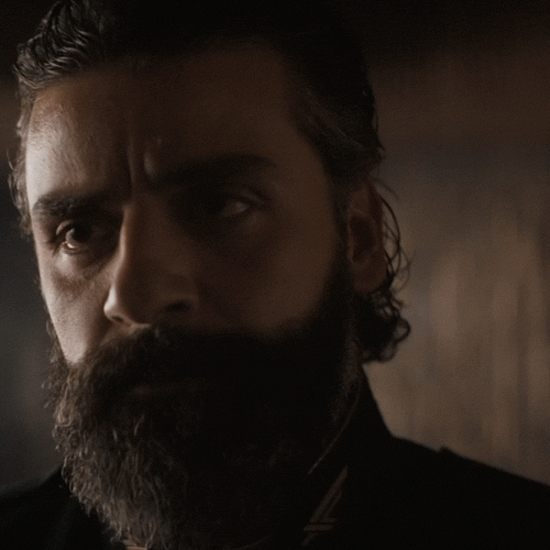 Protect Oscar Isaac GIF by Dune Movie