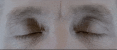 Music Video GIF by Ultra Records