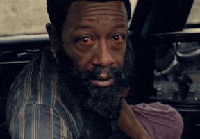 The Walking Dead Twd GIF