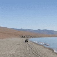 travel reizen GIF by BNNVARA