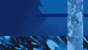 Creighton Bluejays GIF by Creighton University Athletics