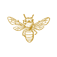 New Arrivals Ewd Sticker by everettewilsondesigns