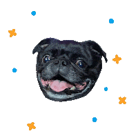 Trash Pug Sticker