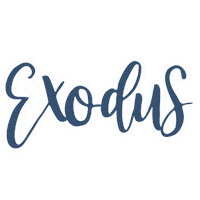 Books Of The Bible Sticker by Designs by Denae