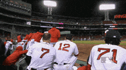 Regular Season Sport GIF by MLB
