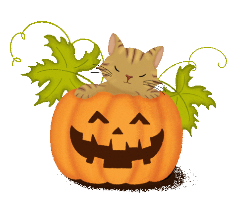 Cat Halloween Sticker