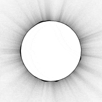 Black And White Space GIF by xponentialdesign