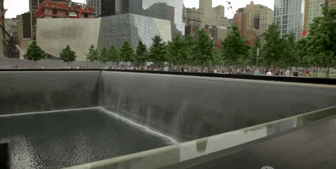 new york GIF