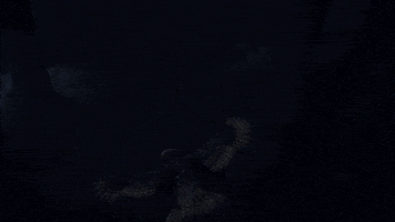 Harry Potter Magic GIF by WBGames
