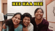 Lmao Lol GIF