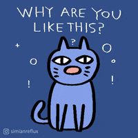 Cat Ppc GIF by Simian Reflux