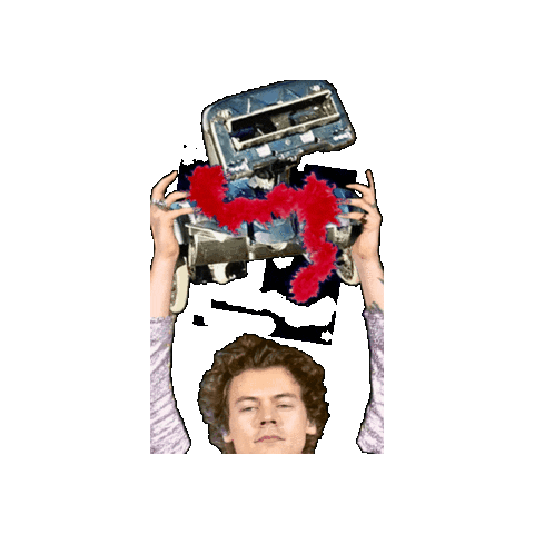 flannelraccoon giphygifmaker harry styles stomper flannelraccoon Sticker