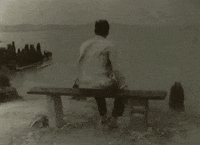 Film Wind GIF