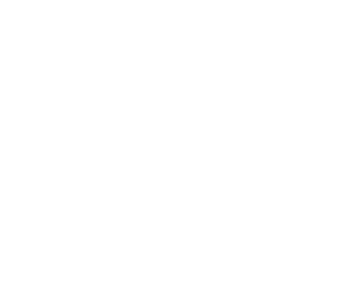Bicycle Sticker