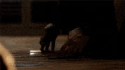 GIF by Wayward Pines