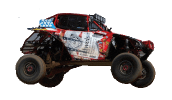 Budweiser Utv Sticker by EVA STAR RACING