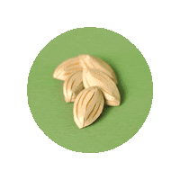 Almond Almendra Sticker