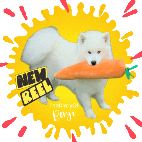 Dog Sticker Sticker