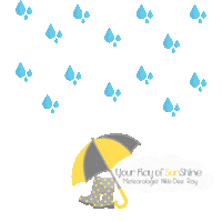 CBS6 weather rva meteorologist wtvr Sticker